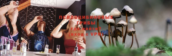прущая мука Гусиноозёрск